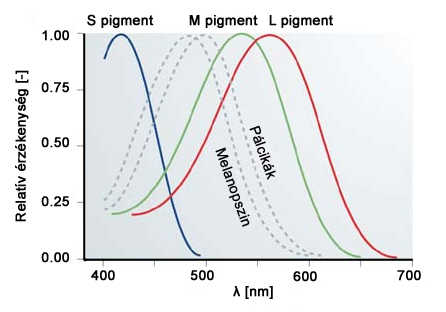 ipRGC ganglion sejtek spektrális érzékenysége